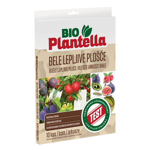Bio_Plantella_Bele_Plosce_RO
